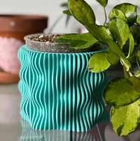 Green textured plant stand with a small plant on a reflective surface